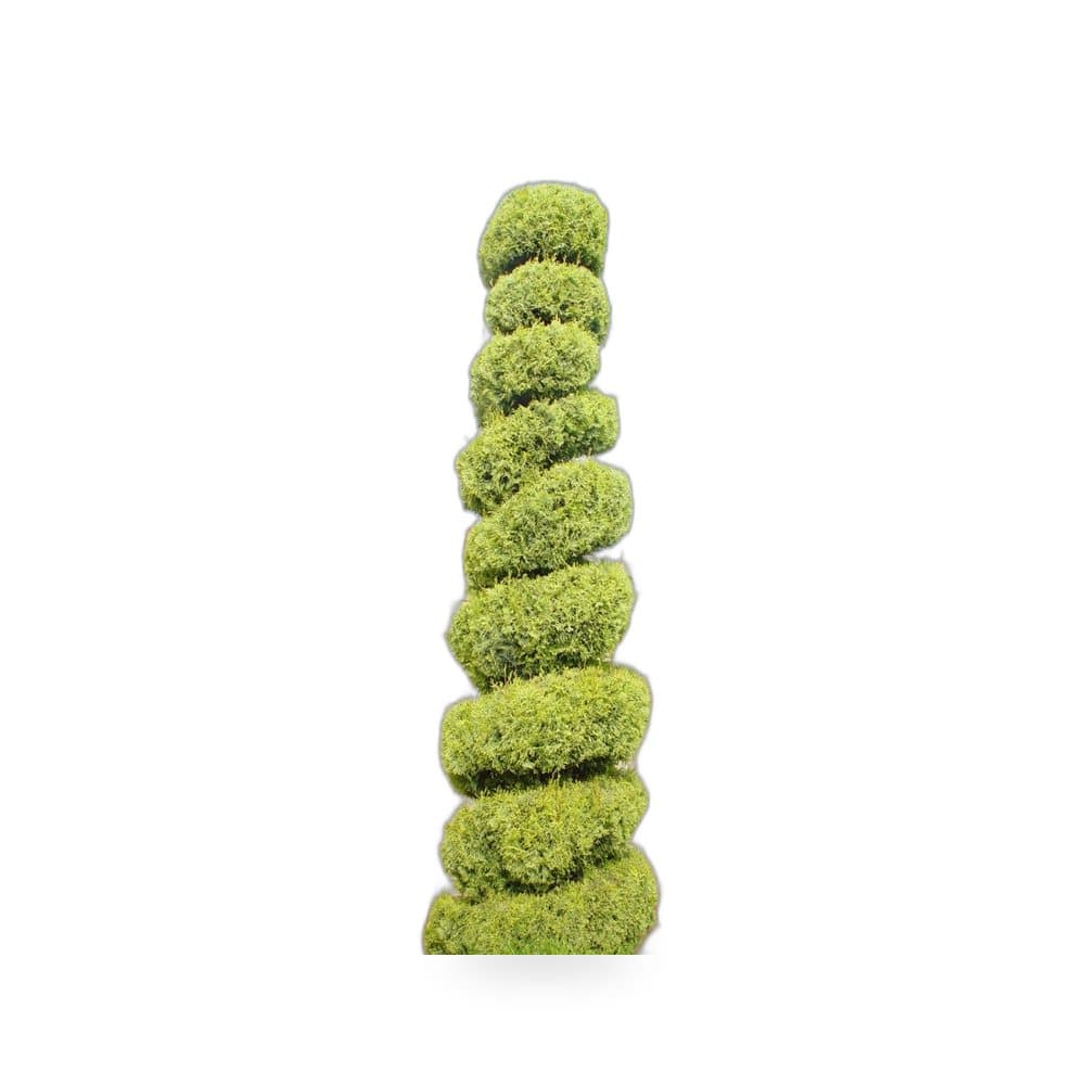 Topiary